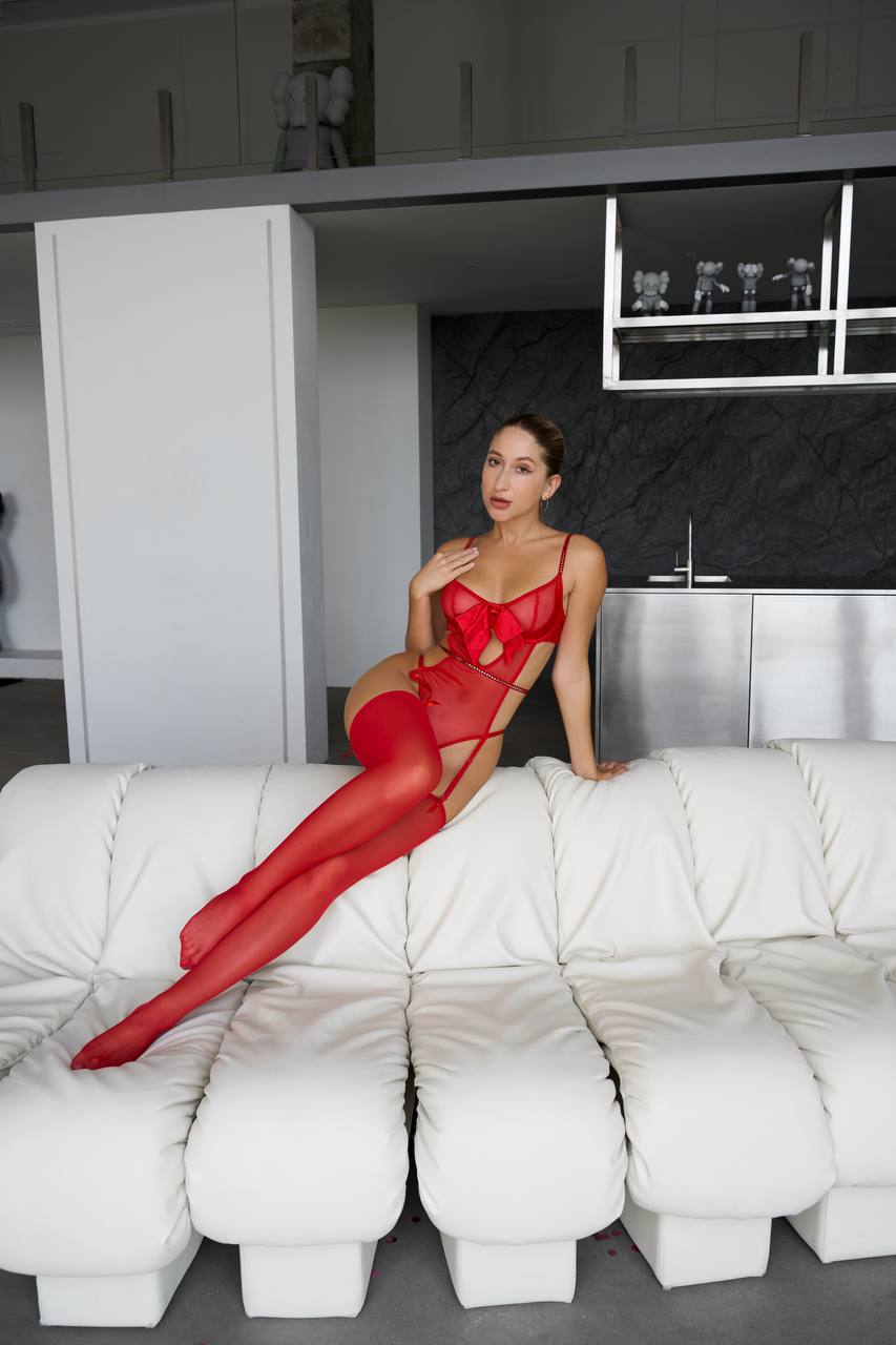Quiet Heat Secret — Sheer Bodysuit — product view 3