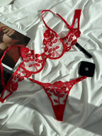 Crimson Shadow — Red Lingerie Set in Red — product view 4